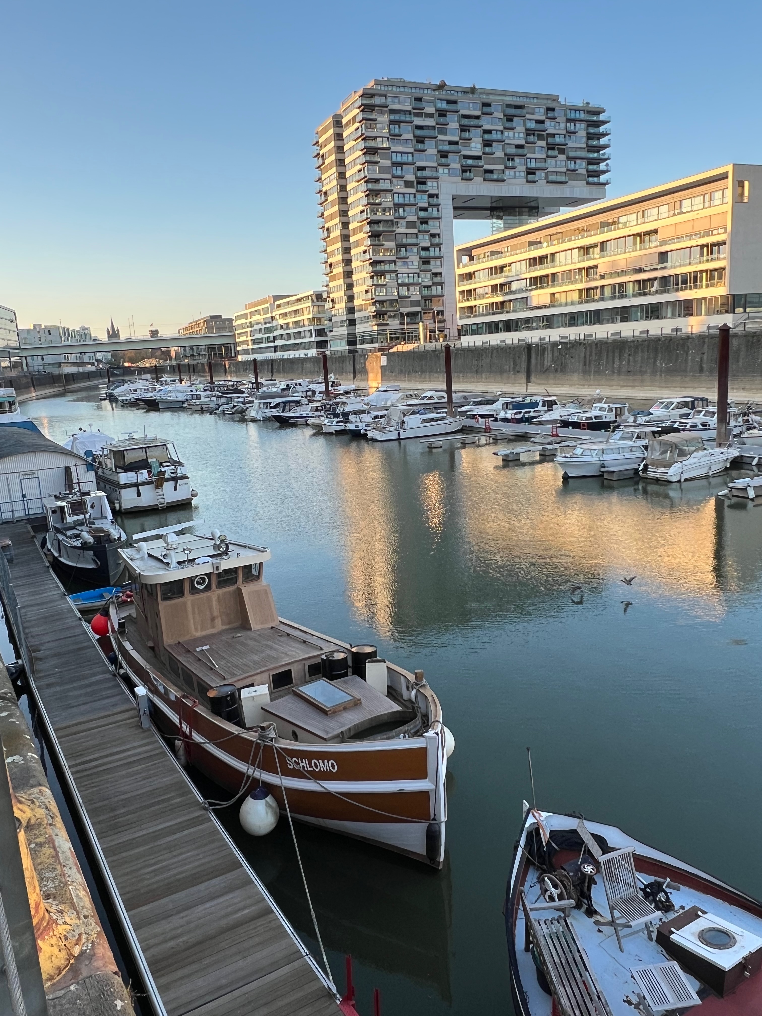 Schlomo in Cologne Harbor